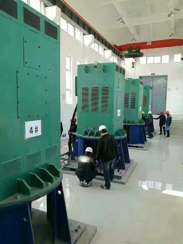 凤岗镇某污水处理厂使用我厂的立式高压电机安装现场
