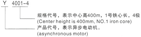 西安泰富西玛Y系列(H355-1000)高压凤岗镇三相异步电机型号说明
